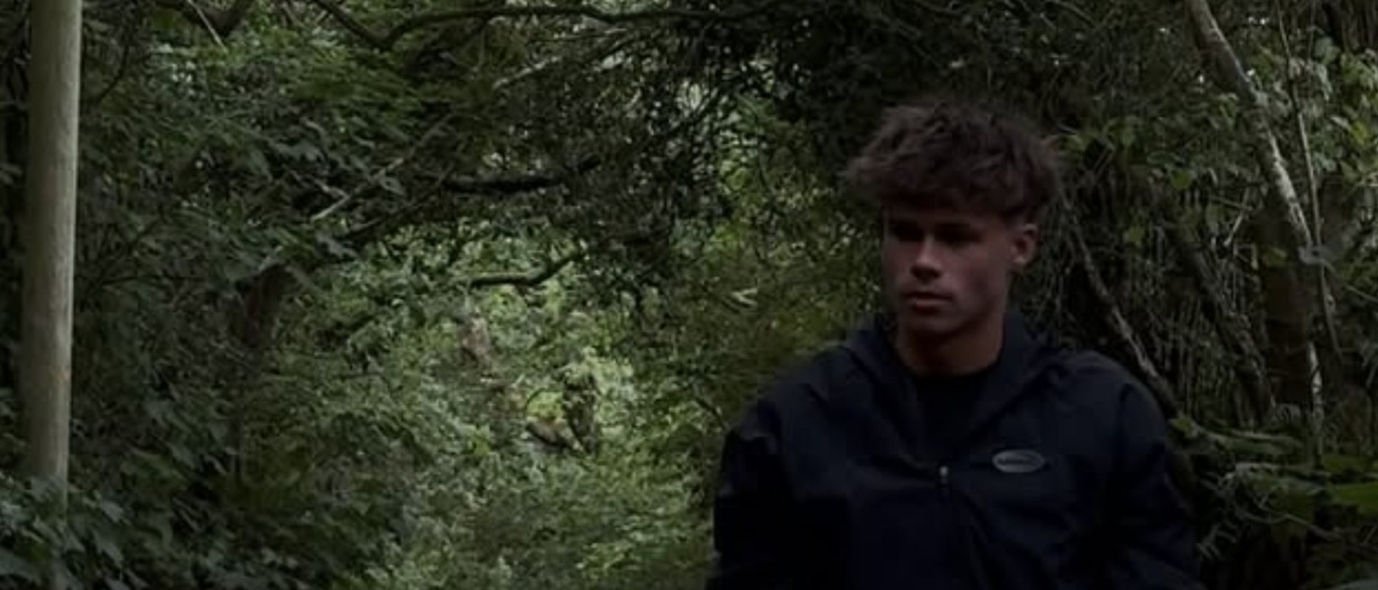 Running a wooded lane