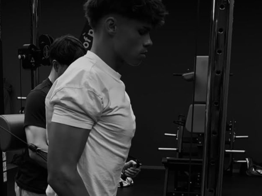 Cable work in the gym
